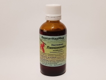 Лимонник китайский (настойка)